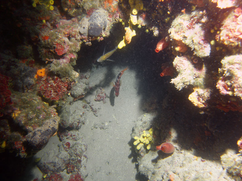 wewnątrz małej grotki